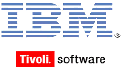 ibm tivoli storage manager client ibm tivoli storage manager client